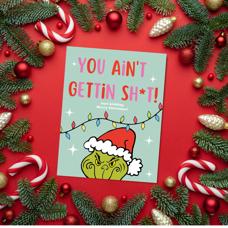 You Ain't Gettin Sh*t Funny Christmas Card